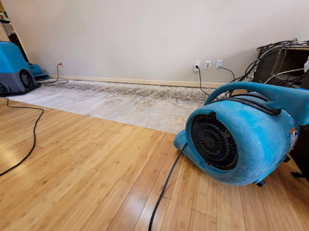 Professional Structural Drying technician working in Taholah, WA